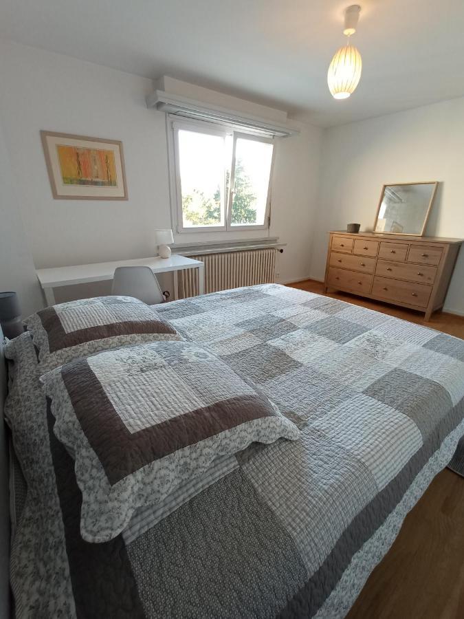 Rare A Colmar - Appartement Champ De Mars Vue Sur Parc - 70M2 - 2 Chambres Exterior photo