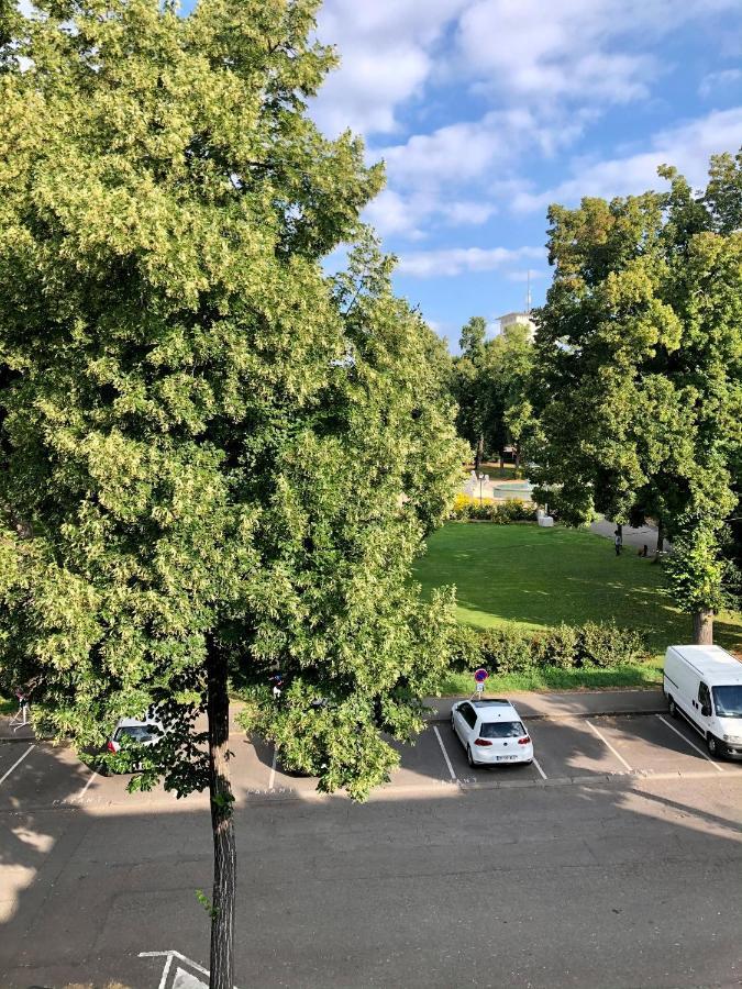 Rare A Colmar - Appartement Champ De Mars Vue Sur Parc - 70M2 - 2 Chambres Exterior photo