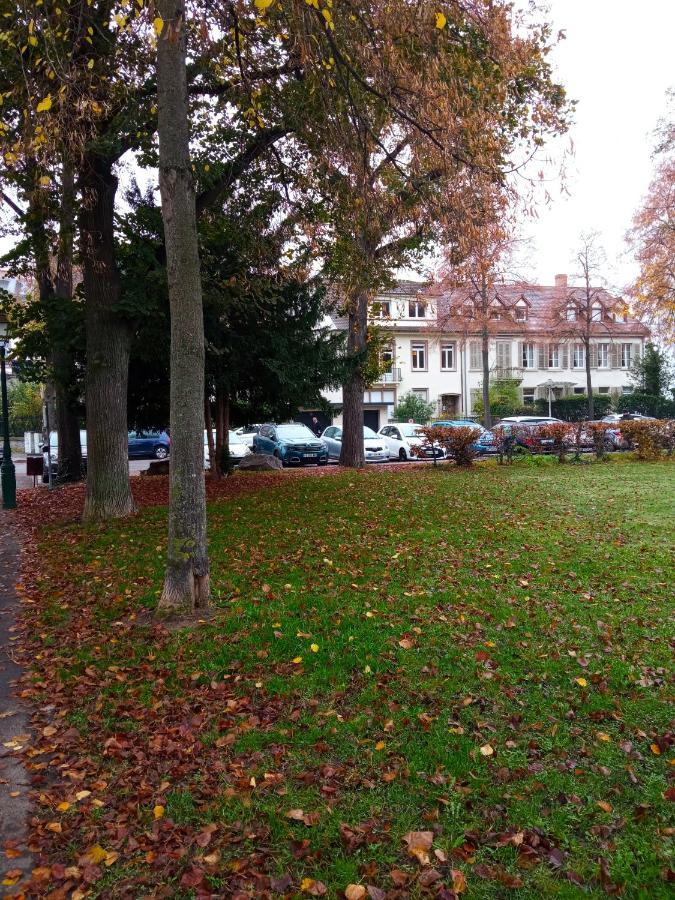 Rare A Colmar - Appartement Champ De Mars Vue Sur Parc - 70M2 - 2 Chambres Exterior photo