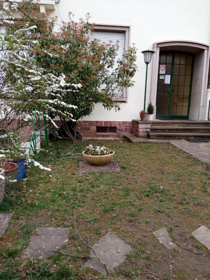 Rare A Colmar - Appartement Champ De Mars Vue Sur Parc - 70M2 - 2 Chambres Exterior photo