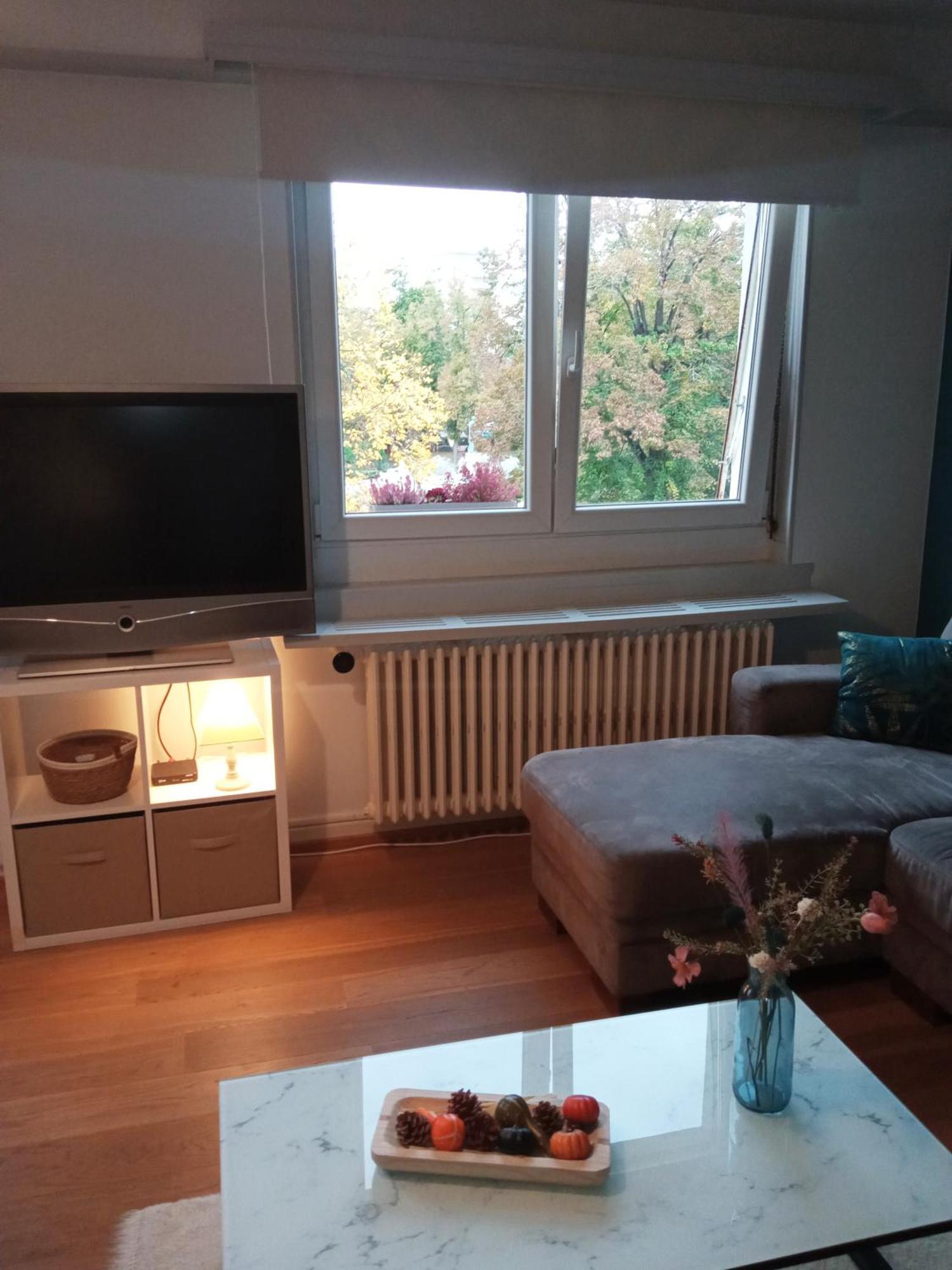 Rare A Colmar - Appartement Champ De Mars Vue Sur Parc - 70M2 - 2 Chambres Exterior photo